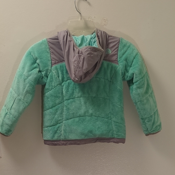 The North Face Mint and Gray Fleece Jacket - Picture 2 of 12